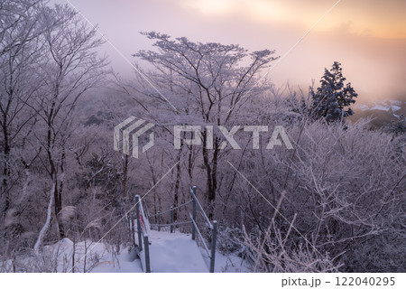 日の出を待つ霧氷の森 122040295