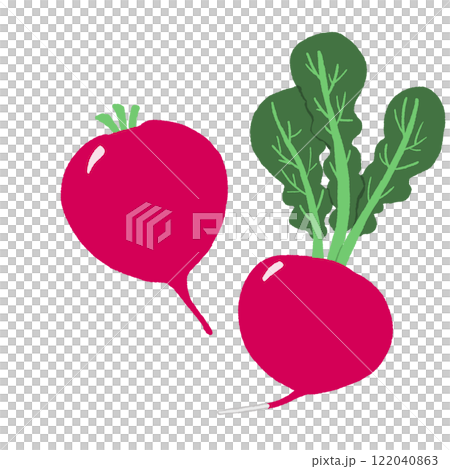 ラディッシュ 122040863