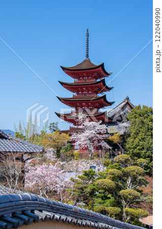 小径から見える春の厳島、青空と桜と五重の塔 小径から見える春の厳島、青空と桜と五重の塔 122040990