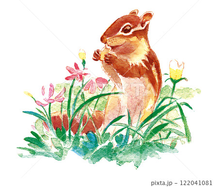 花の中のリス 122041081
