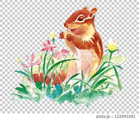 花の中のリス 122041081