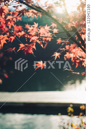 真っ赤な紅葉 真っ赤な紅葉 122041180