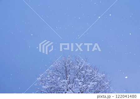 雪の降る日 雪の降る日 122041480