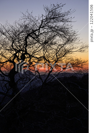 樹木のシルエット　白布峠 122041506