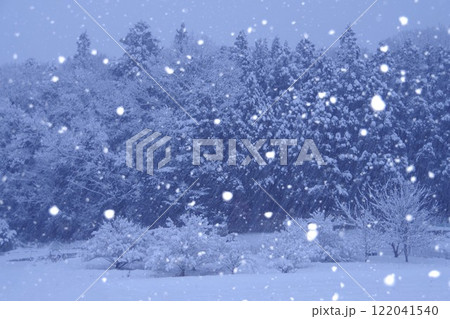 雪降る日 雪降る日 122041540
