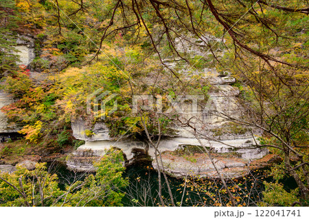 紅葉に染まる塔のへつり 122041741