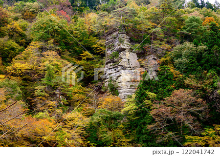 紅葉に染まる塔のへつり 122041742