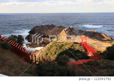 鳥居が主役  元乃隅神社 122041792