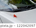 車のボンネットに落ちたモミジ 122042097