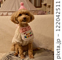犬の誕生日 122042511