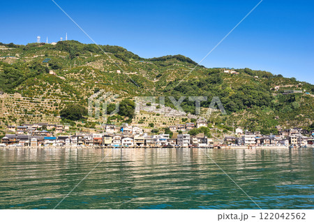 向灘の段々畑 向灘の段々畑 122042562