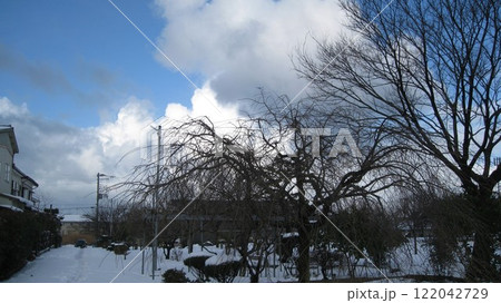 冬の晴れ間の雪積もって真っ白な公園 122042729