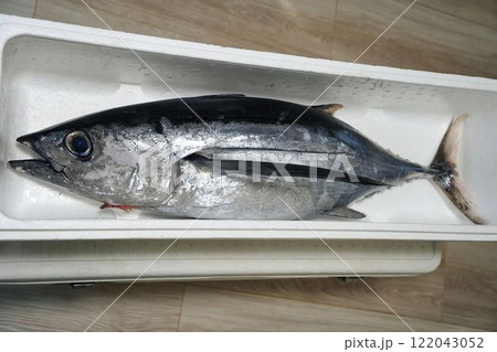 鮮度抜群なビンチョウマグロ 122043052