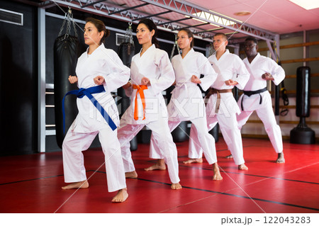 Multiracial group of people doing kata moves in gym Multiracial group of people doing kata moves in gym 122043283