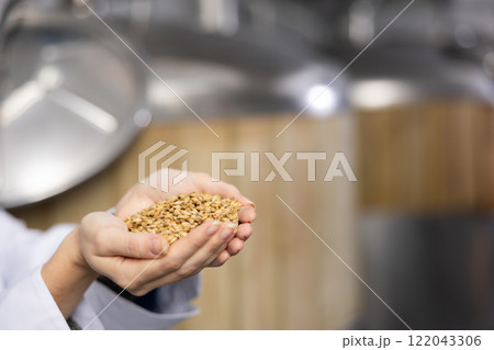 Heap of malt seeds in hands of brewer 122043306