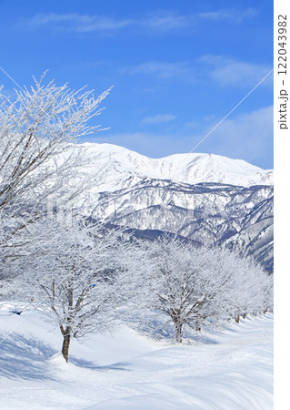 冬の白馬 霧氷と北アルプス 冬の白馬 霧氷と北アルプス 122043982