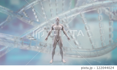 The Human anatomy for medical or education concept 3d rendering. The Human anatomy for medical or education concept 3d rendering. 122044024