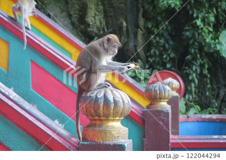 ムルガン神が護るヒンドゥー教の聖地、バトゥ洞窟・Batu Caves ムルガン神が護るヒンドゥー教の聖地、バトゥ洞窟・Batu Caves 122044294