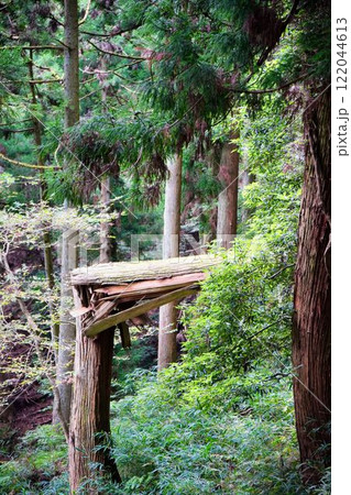 倒木被害 倒木被害 122044613