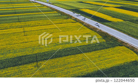 中国 甘肃 油菜花田 中国 甘肃 油菜花田 122044650