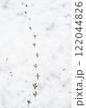 雪に連なる鳥の足跡 122044826