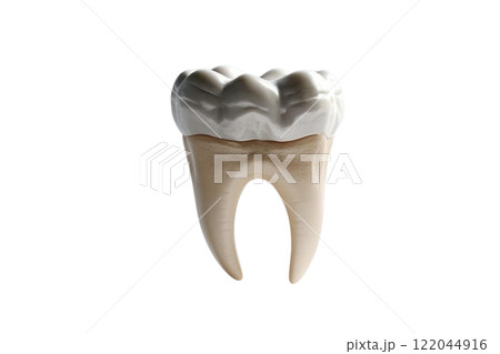 floated 3d render of tooth on the white background  122044916