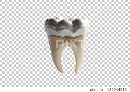 floated 3d render of tooth on the white background  122044916