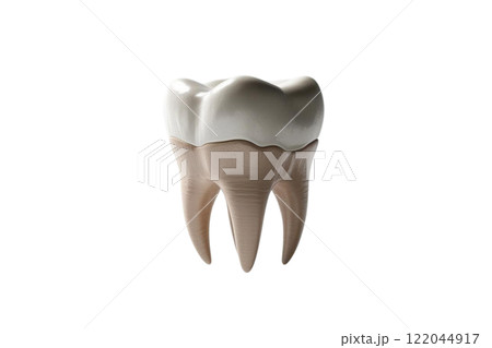 floated 3d render of tooth on the white background  122044917