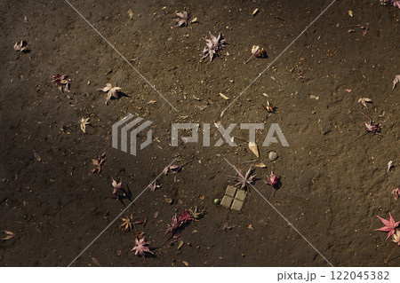 地面に散らされた紅葉の落ち葉	 122045382