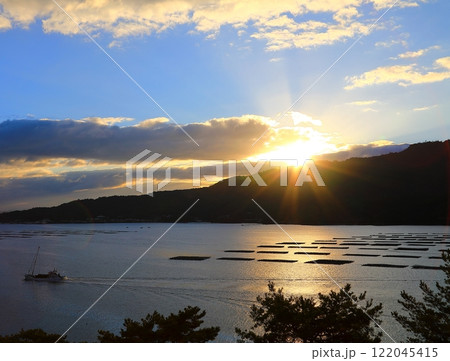 カキイカダ カキイカダ 122045415