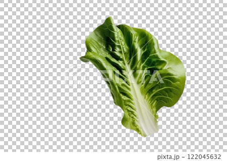 floated Fresh salad green lettuce leaf isolate  on the white background 122045632
