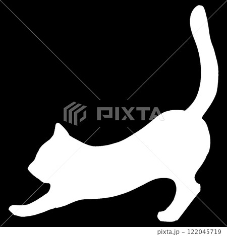 白い伸びをする猫のシルエット 白い伸びをする猫のシルエット 122045719