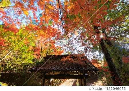 秋の長谷観音 秋の長谷観音 122046053