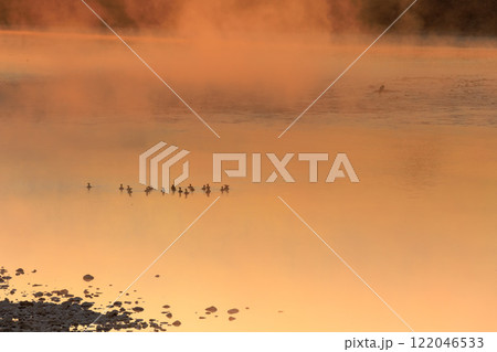 川の朝の風景 川の朝の風景 122046533