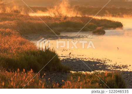 川の朝の風景 川の朝の風景 122046535