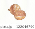 秋の味覚、秋をイメージした栗の水彩イラスト 122046790