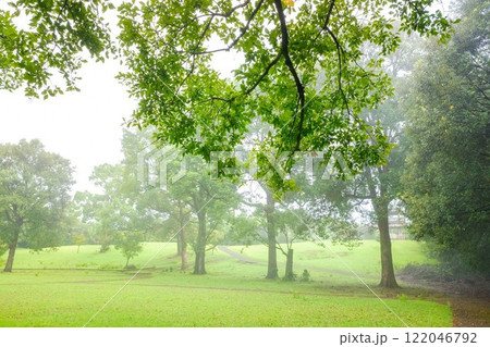公園 122046792