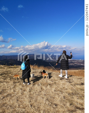 大室山で4匹の犬を散歩する夫婦 122047441