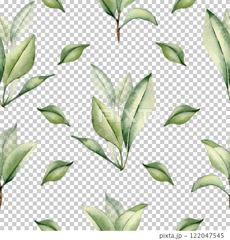 Branches of citrus tree with leaves watercolor seamless pattern isolated on white. Grapefruit tree greenery sprigs hand drawn on repeating texture. Foliage background for wallpaper, packaging, textile 122047545