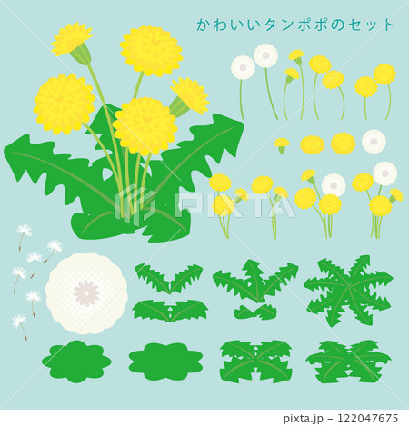 たんぽぽのベクターイラストセット 122047675