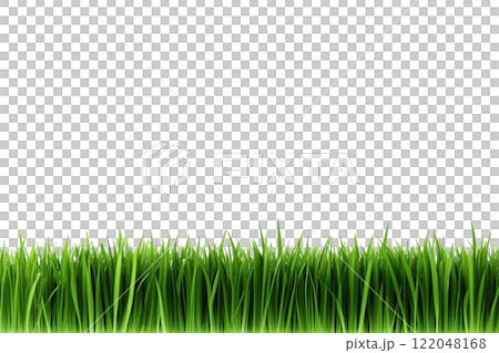 green grass field on the white background 122048168