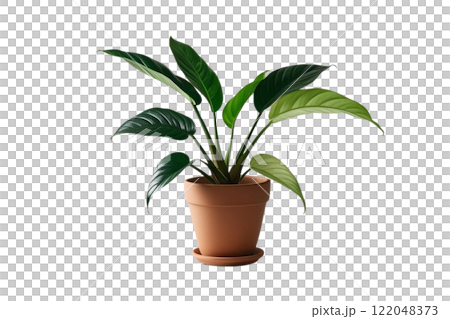 Green leaf potted plant on the white background 122048373