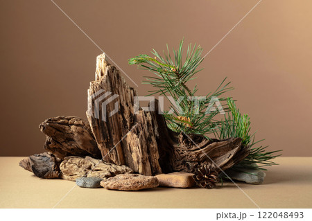 Abstract nature scene with a composition of pine branches, stones, and dry snags. Abstract nature scene with a composition of pine branches, stones, and dry snags. 122048493