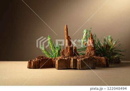 Abstract north nature scene with a composition of pine branches and dry snags. 122048494