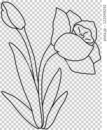 Daffodil Coloring Pages Daffodil Coloring Pages 122049292