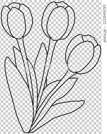 tulip Coloring Pages tulip Coloring Pages 122049293