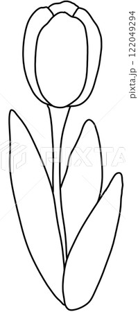 tulip Coloring Pages tulip Coloring Pages 122049294