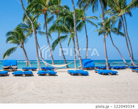 【ハワイ島】ヤシの木の下に並ぶビーチチェア 122049334