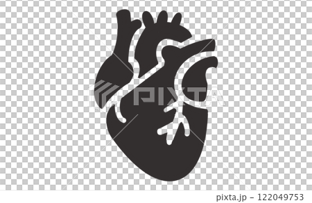 Anatomical heart monochrome icon design Anatomical heart monochrome icon design 122049753