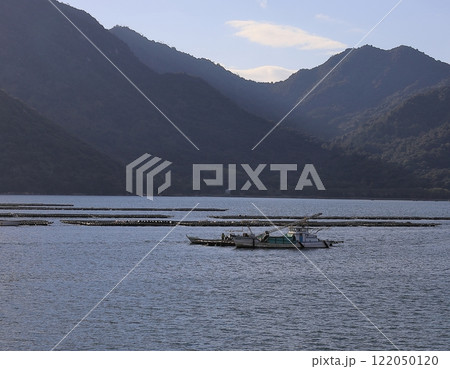 カキイカダ 122050120